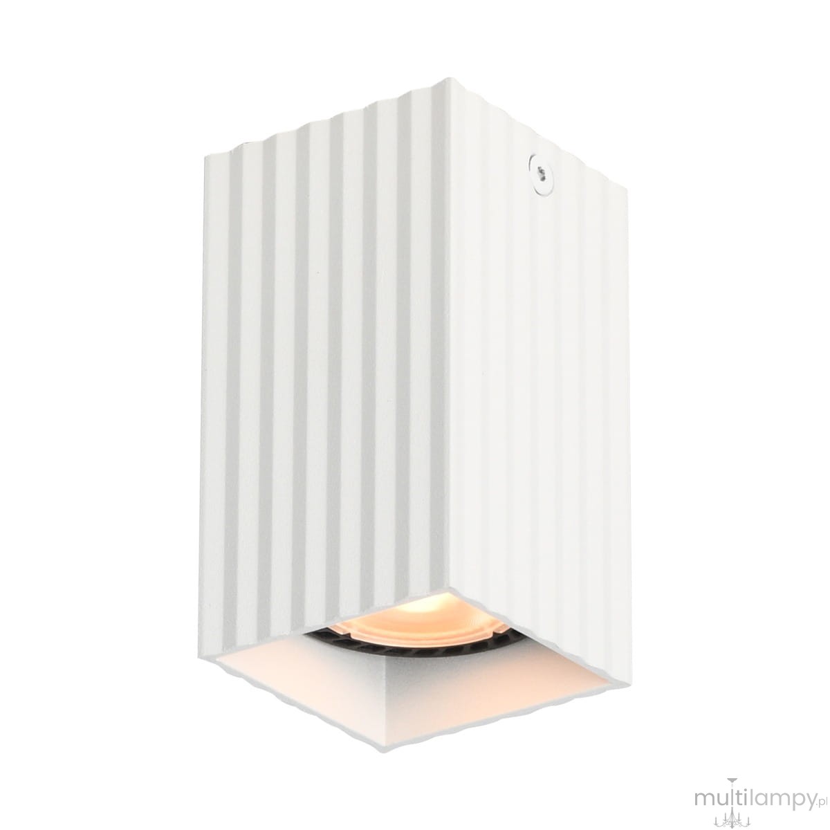 TECNO-6 Einbaustrahler Mit 1x GU10 Fassung – 50 Watt, Edelstahl SS316, IP67, Ideal Für Badezimmer & Außenbereich