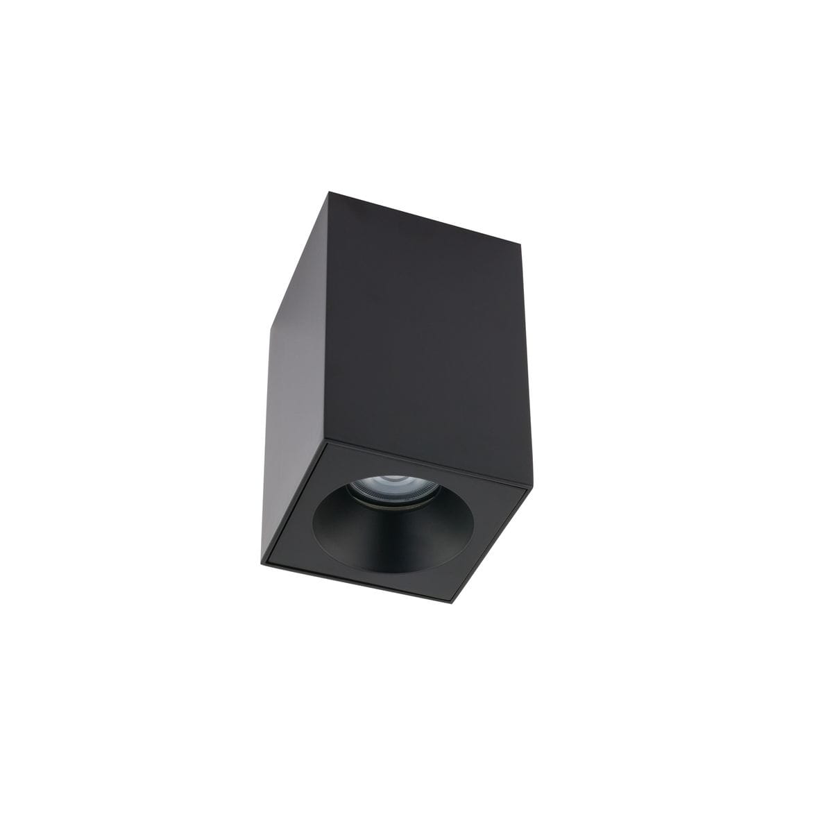 Lampa sufitowa Bravo 1-punktowa, czarna, o prostokątnym kształcie. Wykonana z matowego materiału, z widoczną oprawą na żarówkę wewnątrz. Umieszczona pod kątem, przeznaczona do montażu sufitowego, zapewniająca oświetlenie IP54.