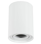 Biała lampa sufitowa w kształcie tuby, montowana na suficie, z otworem w dolnej części do kierunkowego oświetlenia. Prosty, cylindryczny design bez dekoracji, widoczna metalowa część wewnętrzna.