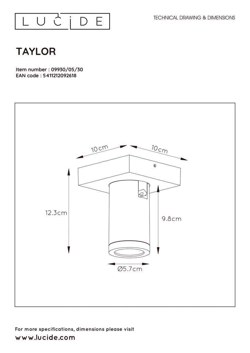 Czarna lampa sufitowa Taylor IP44, 1-punktowa, o wymiarach 12,3 cm wysokości i 9,8 cm średnicy. Cylindryczny kształt z prostokątnym mocowaniem 10x10 cm. Widoczna średnica otworu 5,7 cm. Przeznaczona do użytku wewnętrznego i zewnętrznego.
