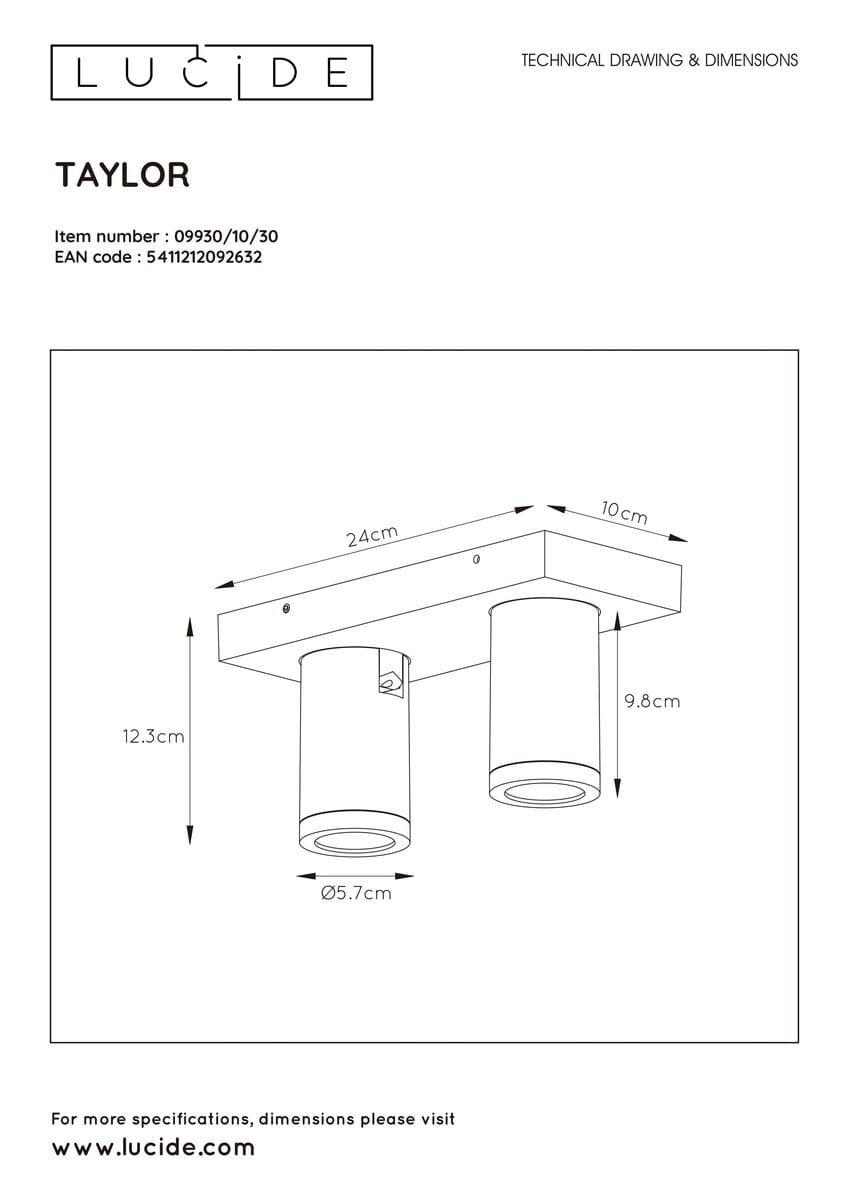 Lampa sufitowa Taylor IP44, dwupunktowa, czarna. Posiada dwa cylindryczne klosze o średnicy 5,7 cm, zamontowane na prostokątnej podstawie o wymiarach 24 x 10 cm. Wysokość kloszy wynosi 9,8 cm, a całkowita wysokość lampy to 12,3 cm.