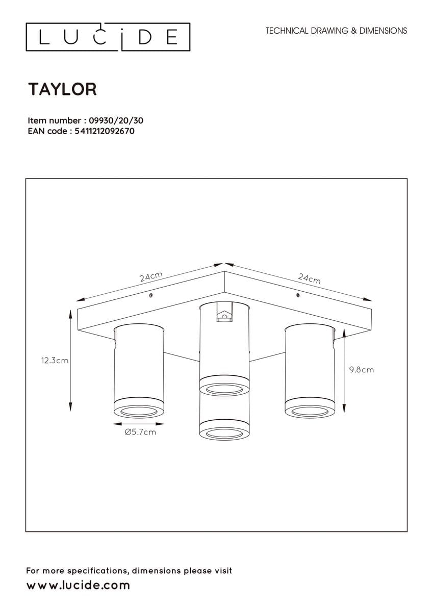 Czarna lampa sufitowa Taylor IP44 z czterema punktami świetlnymi, kwadratowa podstawa o wymiarach 24 cm x 24 cm, wysokość 12,3 cm. Lampy cylindryczne o średnicy 5,7 cm i wysokości 9,8 cm, idealna do oświetlenia wnętrz.