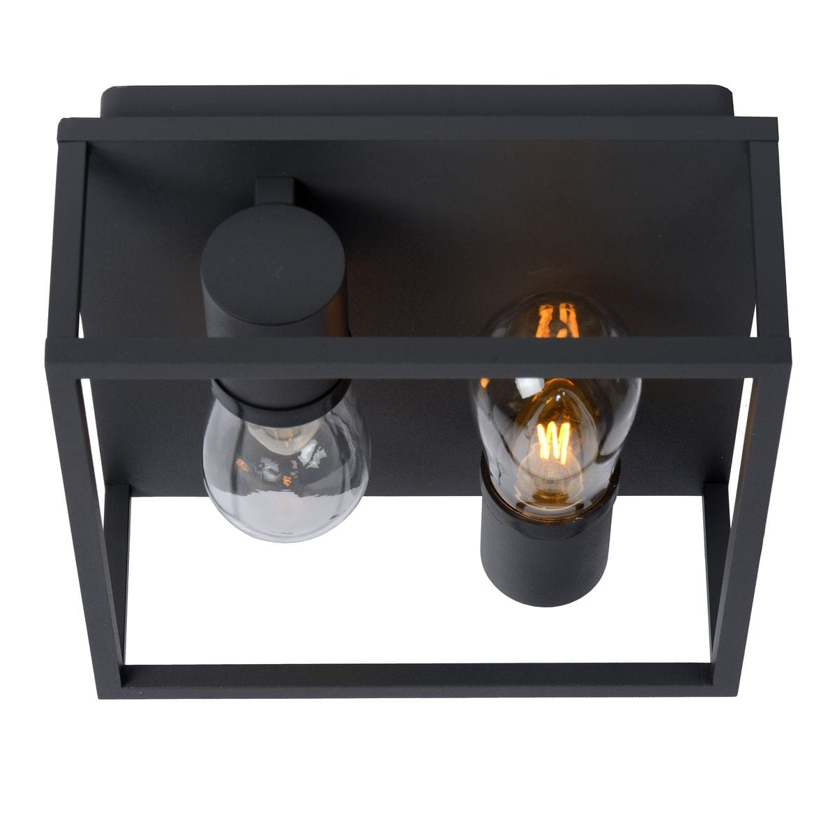 Carlyn IP54 lampa sufitowa 2-punktowa w kolorze czarnym. Konstrukcja z matowego metalu w formie prostokątnej ramy z dwoma żarówkami, jedna przezroczysta, druga z widocznymi włóknami. Montaż sufitowy, idealna do nowoczesnych wnętrz.