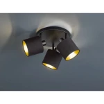 Lampa sufitowa Tommy w czarnym kolorze z trzema ruchomymi kloszami. Klosze mają złote wnętrze, co zapewnia ciepłe światło. Produkt zamontowany na okrągłej podstawie, widoczny z góry, idealny do oświetlenia wnętrz.