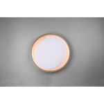 Plafon LED Zeta D48 w kolorze czarnym z pilotem, okrągły, z białą matową powierzchnią i połyskującą ramką, zamontowany na szarym tle. Produkt zdalnego sterowania, idealny do nowoczesnych wnętrz.