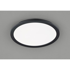 Camillus D40 LED IP44 plafon 1-punktowy czarny R62922432
