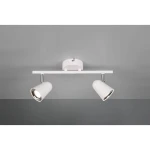 Biała lampa sufitowa Toulouse z dwoma punktami świetlnymi, zamontowana na prostym, białym stelażu. Klosze w kształcie stożków z metalowymi detalami, skierowane w różne strony. Tło szare, minimalistyczne.