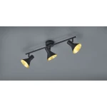 Czarna lampa sufitowa 3-punktowa Nina, z metalowymi kloszami w kształcie dzwonów, zawieszona na prostym stelażu. Każdy klosz ma złotą wewnętrzną stronę, co tworzy kontrast. Lampa jest zamontowana na szarym tle, widoczna z góry.