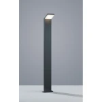 Lampa stojąca ogrodowa Pearl H100 LED w kolorze antracytowym. Prosta, kwadratowa podstawa i smukła, prostokątna konstrukcja z lekko nachyloną głowicą. Oświetlenie LED na górze zapewnia kierunkowe światło. Ustawiona na białym tle.