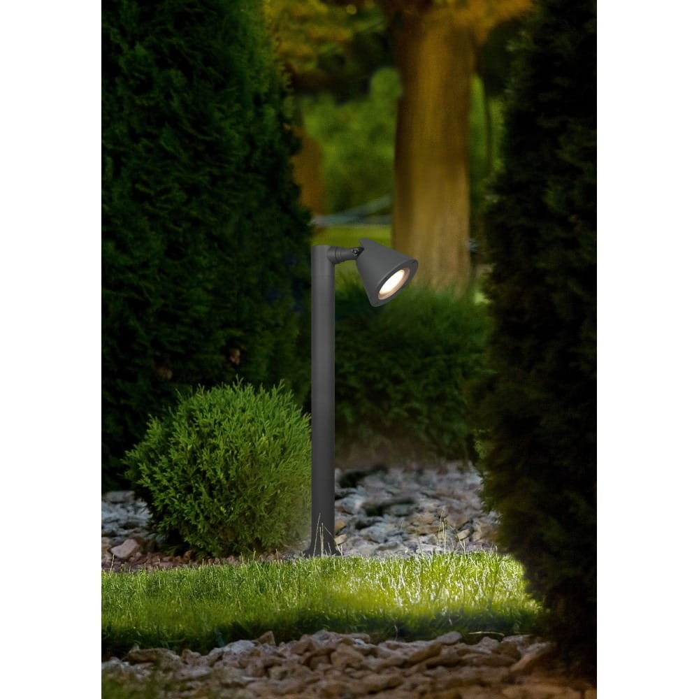 Lampa stojąca ogrodowa Kaveri H60 w kolorze antracytowym, z pojedynczym źródłem światła, umieszczona na prostym, stalowym słupku. W tle widoczne krzewy i trawa, tworzące naturalne otoczenie. Produkt w pozycji stojącej, skierowany w dół.