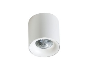 Mane LED lampa sufitowa 1-punktowa 20W/3000K biała AZ4152