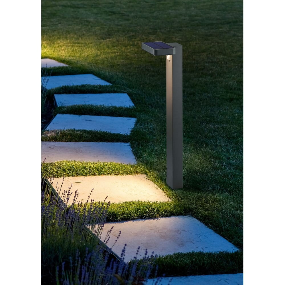 Lampa ogrodowa Esquel H60, solarna, antracytowa, z czujnikiem ruchu. Prosta, prostokątna konstrukcja, umieszczona obok ścieżki, emitująca ciepłe światło, na tle trawnika i kamiennych płyt.