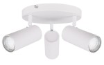 Colly lampa sufitowa (spot) 3-punktowa biała 98-01627