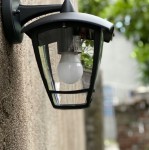 Kinkiet elewacyjny Niko w kolorze czarnym, 1-punktowy, zamontowany na ścianie. Posiada szklany klosz, w którym widoczna jest biała żarówka. Ujęcie z boku, z bliska, na tle szarej ściany i zieleni w tle.
