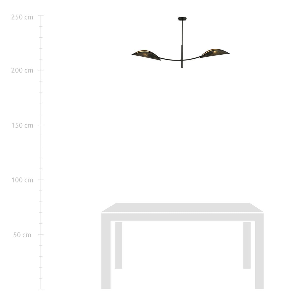 Czarna lampa sufitowa Lotus z dwoma reflektorami w złotym wnętrzu, zawieszona na cienkiej konstrukcji. Ujęcie frontalne, ukazuje wysokość montażu. Idealna do nowoczesnych wnętrz.