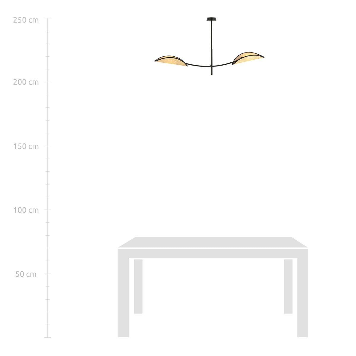 Czarna lampa sufitowa 2-punktowa Lotus z rattanowymi kloszami, umieszczona w centralnej pozycji, na tle białej ściany. Klosze mają lekko zaokrąglony kształt, a całość wisi na cienkim, metalowym stelażu. Idealna do nowoczesnych wnętrz.