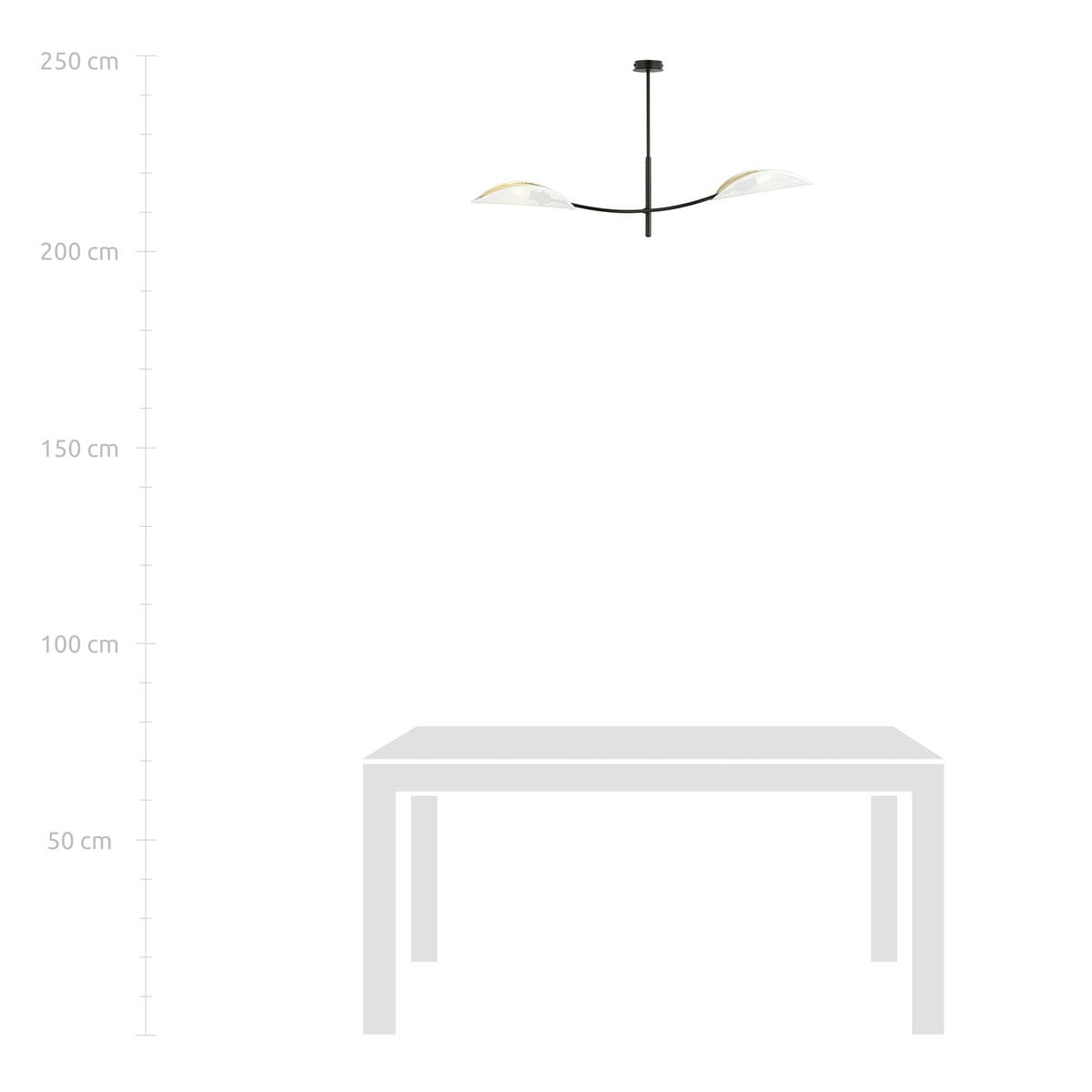 Lampa sufitowa Lotus 2-punktowa w kolorze białym i złotym, z dwoma zaokrąglonymi kloszami, zawieszona na cienkim, czarnym przewodzie. Ujęcie frontalne, montowana na suficie, idealna do oświetlenia stołu.