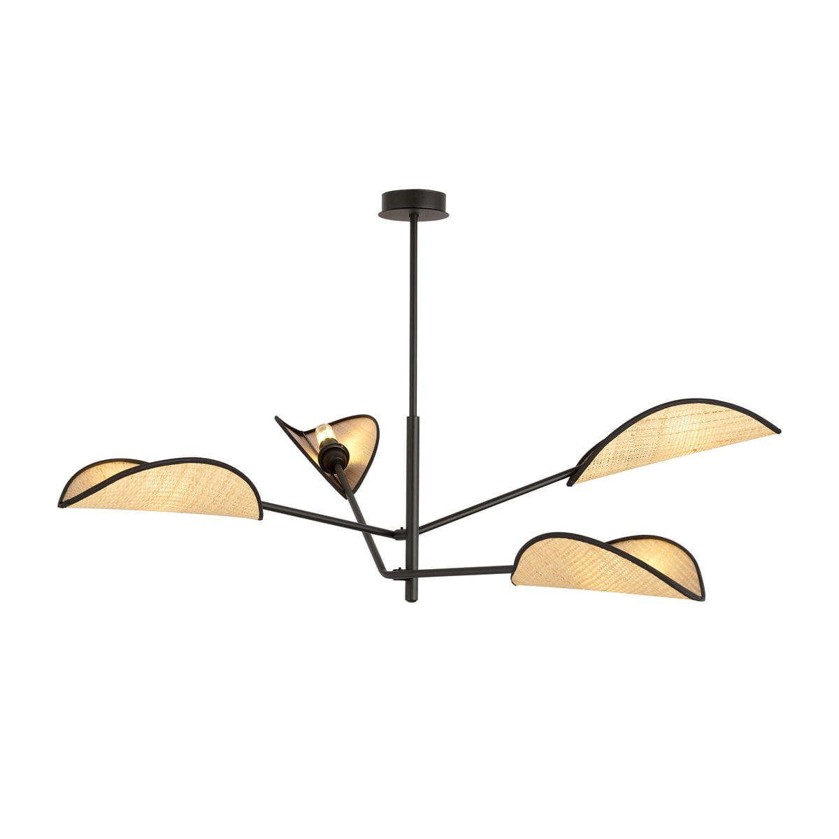 Czarna lampa sufitowa 4-punktowa Vene z rattanowymi kloszami, w kształcie fal, zawieszona na cienkim stelażu. Klosze mają jasny kolor, zapewniając miękkie światło. Produkt widoczny z dołu, w pełnym ujęciu.