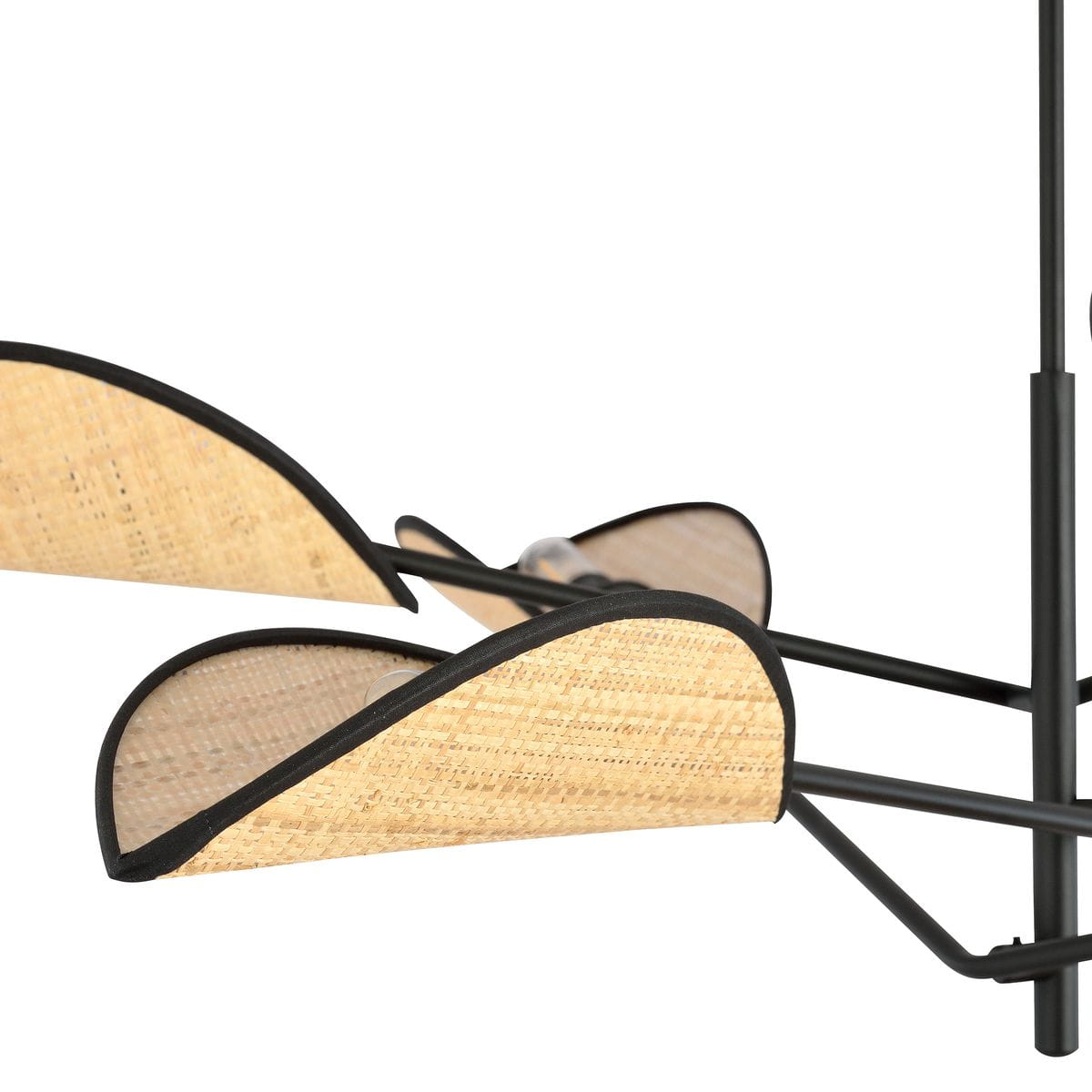 Czarna lampa sufitowa Vene z sześcioma punktami świetlnymi, z rattanowymi kloszami w kształcie fal. Widać metalową konstrukcję oraz połączenia z elementami rattanowymi, które nadają lekkości i naturalnego charakteru.