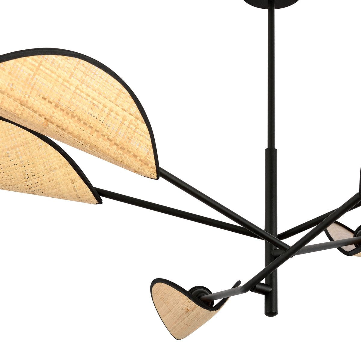 Lampa sufitowa Vene z sześcioma punktami świetlnymi, w kolorze czarnym z rattanowymi kloszami w kształcie półksiężyca. Klosze mają teksturowaną powierzchnię, a całość zawieszona jest na smukłych, czarnych ramionach.