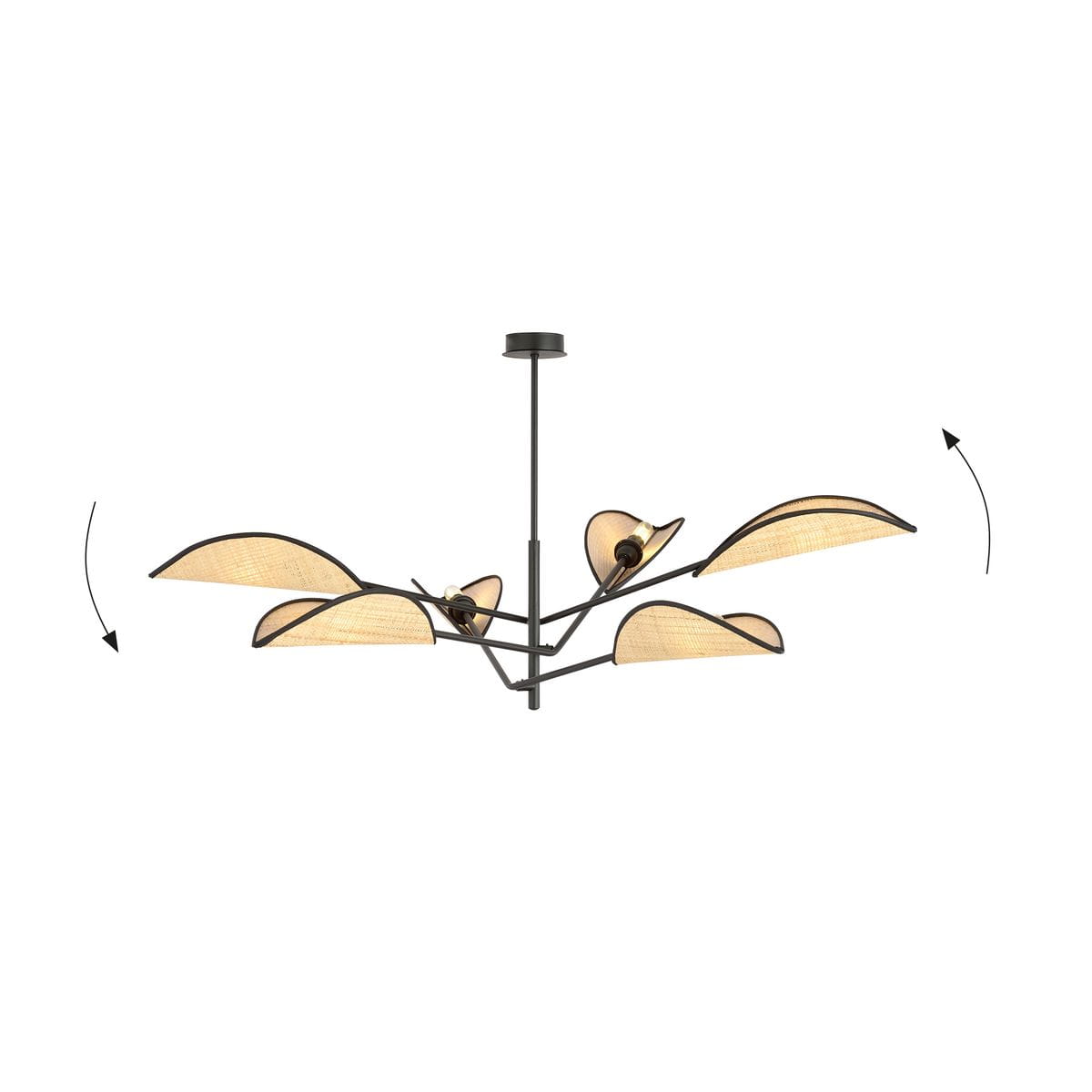 Lampa sufitowa Vene 6-punktowa w kolorze czarnym z rattanowymi kloszami, o nowoczesnym, organicznym kształcie. Ułożona w poziomie, z sześcioma światłami, zawieszona na smukłym wysięgniku, w minimalistycznym, jasnym tle.