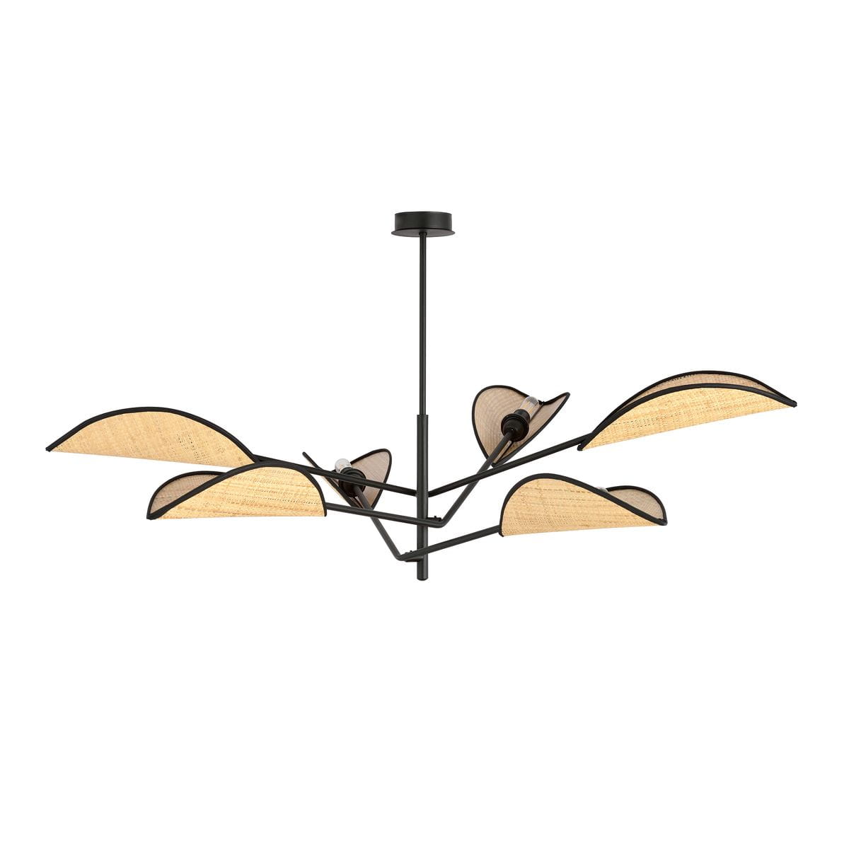Lampa sufitowa Vene 6-punktowa w kolorze czarnym i rattanowym. Posiada sześć asymetrycznych kloszy z naturalnego rattanu, zamocowanych na czarnym stelażu. Ujęcie z dołu, widać szczegóły konstrukcji i kształt kloszy.