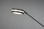 Lampa podłogowa Franklin LED, 2-punktowa, antracytowa. Widok z boku na okrągłą głowicę z dwoma jasnymi pasami, zamocowaną na smukłym, prostym stelażu. Tło szare, podkreślające nowoczesny design lampy.
