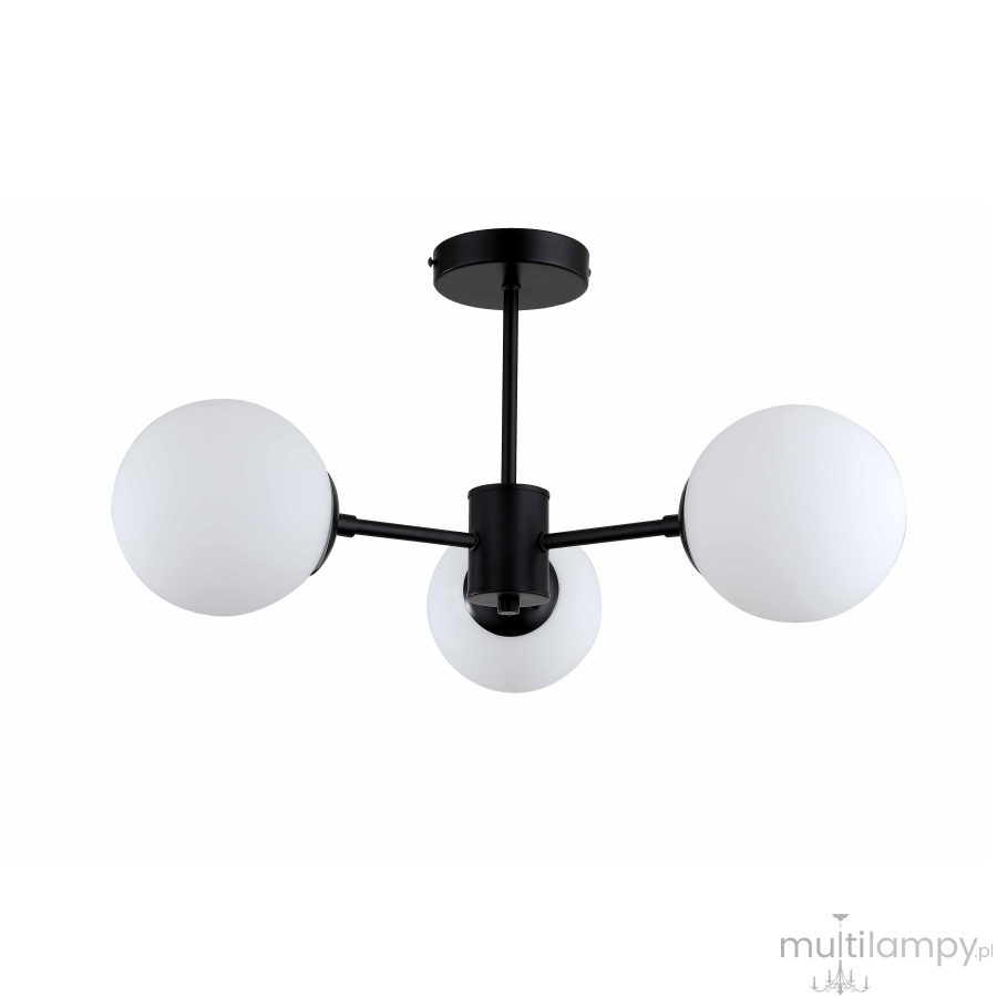 Czarna lampa sufitowa Roma z trzema punktami świetlnymi, z białymi, okrągłymi kloszami. Ujęcie frontalne, lampa zamontowana na suficie, w minimalistycznym stylu. Metalowa konstrukcja z matowym wykończeniem.