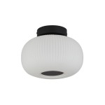 Czarna lampa sufitowa Lumina 1-punktowa, model 10271-1BK, z białym, żebrowanym kloszem w kształcie kuli. Lampa zamontowana na płaskim, okrągłym mocowaniu, wykończona z prostym, nowoczesnym designem.