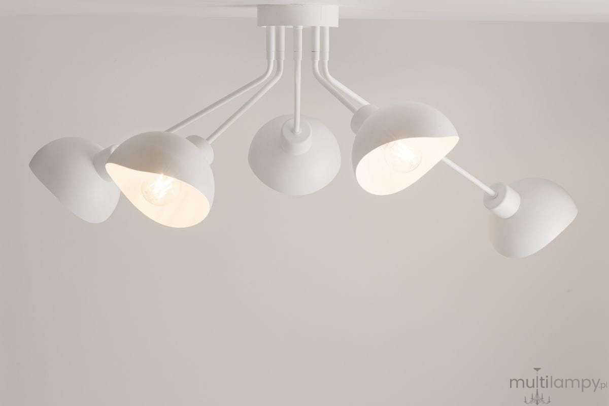 Lampa sufitowa Roy, pięciopunktowa, w białym kolorze. Składa się z pięciu kloszy o półkulistym kształcie, zamontowanych na metalowych ramionach. Ujęcie z dołu, pokazujące źródła światła w kloszach. Tło jasne, neutralne.