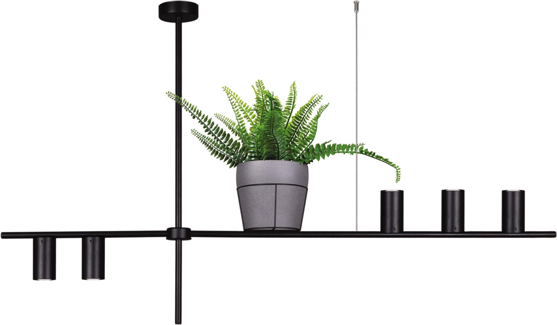 Kwietnik lampa wisząca Rocco, czarna, pięciopunktowa. Posiada prostą, metalową konstrukcję z dwoma okrągłymi uchwytami na żarówki i doniczką z zieloną rośliną. Ujęcie frontalne, produkt wisi w powietrzu na tle białego tła.