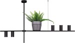 Kwietnik lampa wisząca Rocco, czarna, pięciopunktowa. Posiada prostą, metalową konstrukcję z dwoma okrągłymi uchwytami na żarówki i doniczką z zieloną rośliną. Ujęcie frontalne, produkt wisi w powietrzu na tle białego tła.