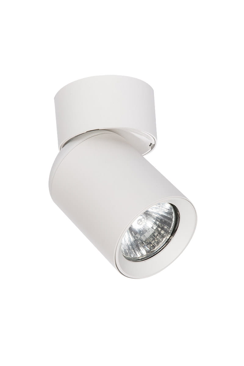 Biała lampa sufitowa (spot) Timo, 1-punktowa, z okrągłą głowicą o metalicznym wykończeniu. Ujęcie z boku, produkt zamontowany na suficie, skierowany w dół. Prosta, cylindryczna forma, bez widocznych napisów lub logo.