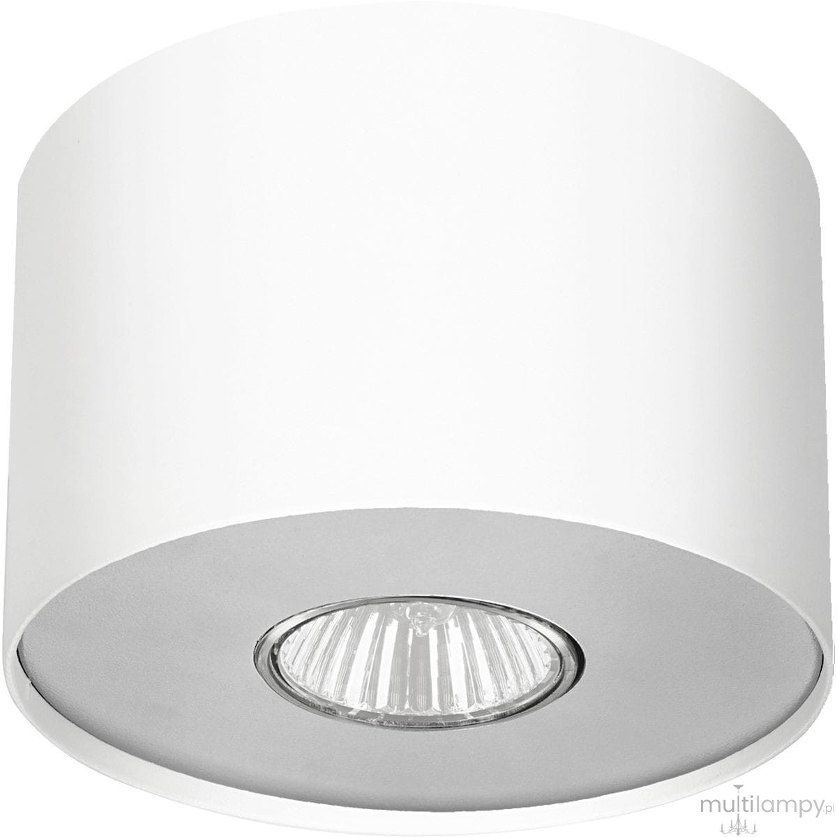 Biała lampa sufitowa 1-punktowa Point S z metalowym, okrągłym kloszem, widok z dołu. Wewnątrz znajduje się żarówka reflektorowa, montowana na płaskiej podstawie. Idealna do oświetlenia wnętrz.