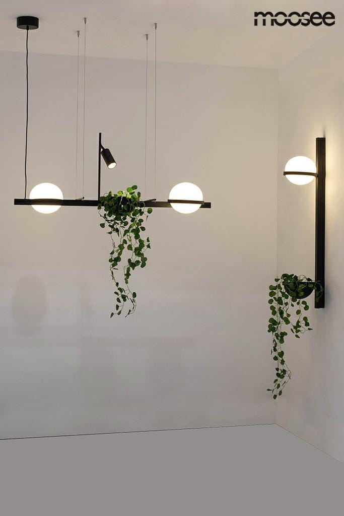 Czarny kinkiet LED 1-punktowy Plant Wall z serii MSE010400222, zamontowany na ścianie, z dekoracyjnymi roślinami zwisającymi z doniczek. Prosta konstrukcja z metalowym stelażem i okrągłym kloszem. Ujęcie frontalne, na jasnym tle.