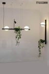Czarny kinkiet LED 1-punktowy Plant Wall z serii MSE010400222, zamontowany na ścianie, z dekoracyjnymi roślinami zwisającymi z doniczek. Prosta konstrukcja z metalowym stelażem i okrągłym kloszem. Ujęcie frontalne, na jasnym tle.