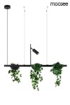 Czarna lampa wisząca LED Plant z dwoma punktami świetlnymi. Posiada metalowy stelaż z trzema donicami z roślinami, zawieszona na cienkich linkach. Styl minimalistyczny, idealna do nowoczesnych wnętrz.