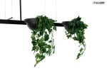 Czarna lampa wisząca Plant LED z dwoma punktami świetlnymi, zawieszona na cienkich linkach. Posiada okrągłe, matowe klosze z dekoracyjnymi roślinami pnącymi, które zwisają z obu stron. Prosta forma, idealna do nowoczesnych wnętrz.