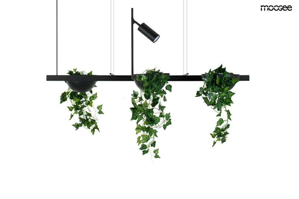 Czarna lampa wisząca Plant LED z dwoma punktami świetlnymi, z metalowym stelażem. Posiada dwie okrągłe donice z zielonymi pnączami, zawieszone na cienkich linkach. Kąt ujęcia frontalny, produkt prezentowany na białym tle.