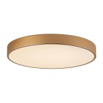 Plafon Orbital D60 LED w kolorze złotym, o okrągłym kształcie i matowej powierzchni. Zainstalowany na suficie, emituje światło o temperaturze 4000K. Prosty, elegancki design, idealny do nowoczesnych wnętrz.