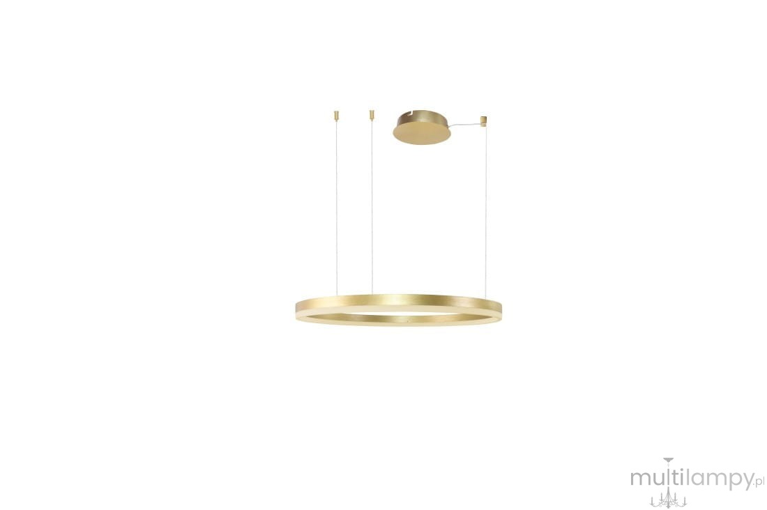 Złota lampa wisząca Halo D80 LED, w formie cienkiego okręgu, zawieszona na dwóch cienkich linkach. Widoczna okrągła podsufitka. Prosty, nowoczesny design, idealna do aranżacji wnętrz. Tło białe, co podkreśla elegancję produktu.
