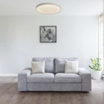 Plafon Vegas D30 w kolorze białym, o średnicy ok. 50 cm, z wbudowanym źródłem światła LED 18W. Montowany na suficie, okrągły kształt z delikatnym kloszem, umieszczony nad szarym sofą w minimalistycznym wnętrzu.