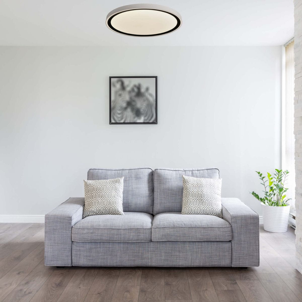 Plafon Vegas D30 w kolorze czarnym z jedną diodą LED o mocy 18W, o okrągłym kształcie i minimalistycznym designie, zamontowany na suficie, w jasnym wnętrzu z szarym sofą i rośliną w tle.