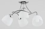 Lampa sufitowa Zafira w kolorze chromu z czterema kloszami z matowego szkła. Ułożona w formie wiszącej, z delikatnymi, zaokrąglonymi kloszami. Klosze umieszczone na metalowych ramionach, tworzą elegancką kompozycję.