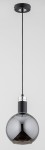 Lampa wisząca Adel z jednym źródłem światła E27 w kolorze czarnym i chromowanym. Okrągła, szklana, ciemnoszara kula z metalowym uchwytem, zawieszona na cienkim, czarnym przewodzie. Ujęcie frontalne, na jednolitym tle.