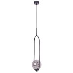 Lampa wisząca Davos z jedną oprawą E14, w kolorze czarnym i grafitowym. Posiada szklany klosz w kształcie kuli, zawieszona na cienkim kablu z metalowym mocowaniem sufitowym. Ujęcie z boku, pokazujące całą lampę.