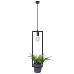 Lampa wisząca Estera w kolorze czarnym z funkcją kwietnika, z jednym gniazdem E27. Posiada prostokątną konstrukcję z metalowym stelażem oraz doniczkę z zieloną rośliną. Zawieszona na długim przewodzie, tworzy nowoczesny element dekoracyjny.