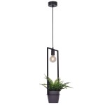Lampa wisząca Estera z funkcją kwietnika, czarna, z metalową konstrukcją w kształcie prostokąta. Zawiera żarówkę E27 oraz doniczkę z zieloną rośliną. Ujęcie frontalne, produkt wiszący na długim przewodzie.