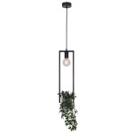 Lampa wisząca Estera w kolorze czarnym z funkcją kwietnika. Posiada oprawę na żarówkę E27 oraz wiszącą roślinność. Ujęcie frontalne, produkt zawieszony na cienkim kablu, minimalistyczny design z prostokątnym ramieniem.