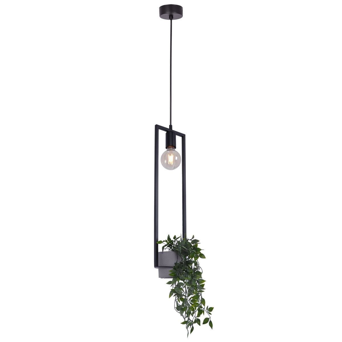 Lampa wisząca Estera z funkcją kwietnika, czarna, z jednym gniazdem E27. Posiada prostokątną ramę, w której umieszczona jest żarówka oraz doniczka z zielonymi roślinami, zwisająca z dolnej części.
